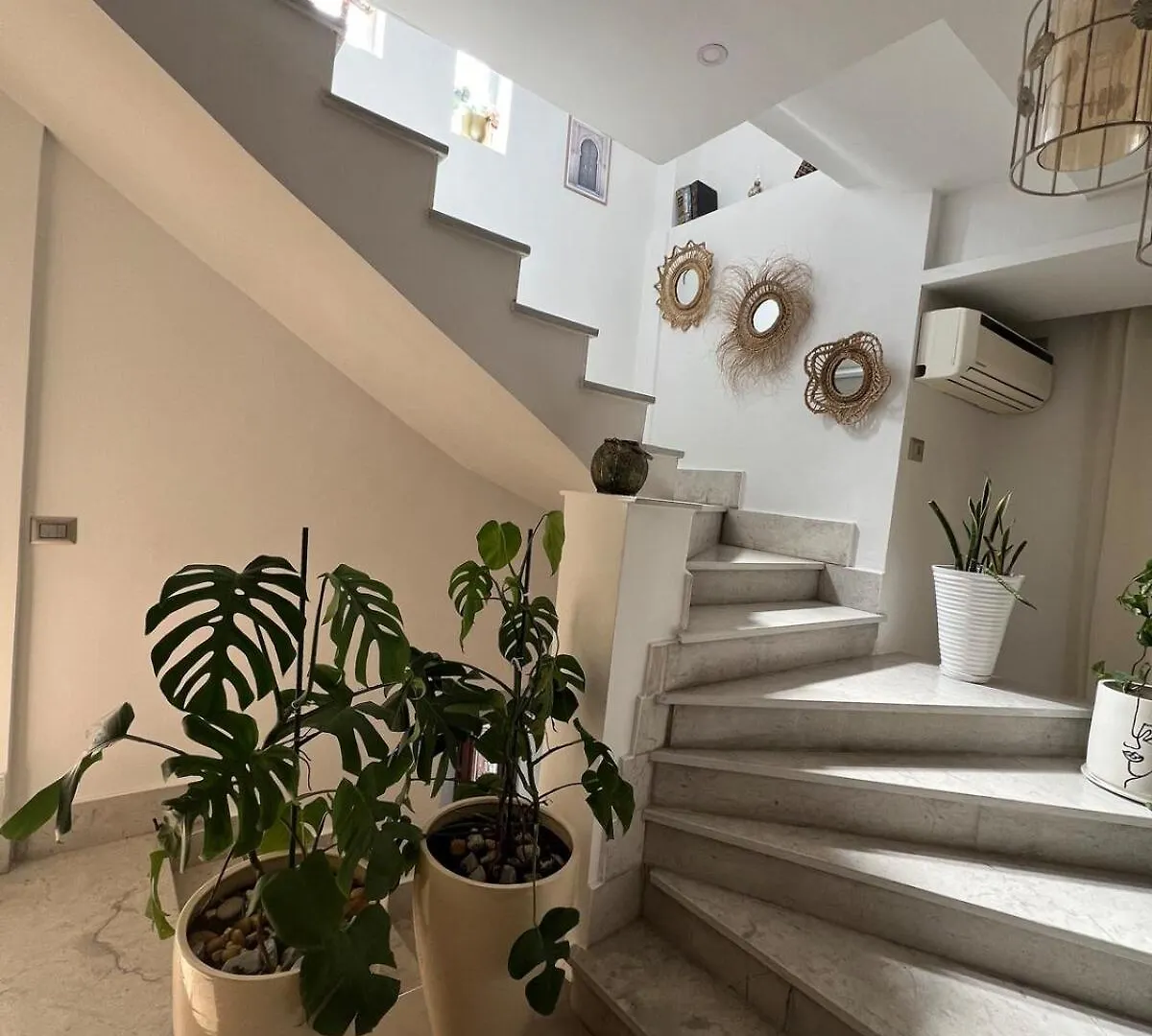 Private Floor, Shared Stairs Etage Prive Escalier Entree Partages Apartment Ariana